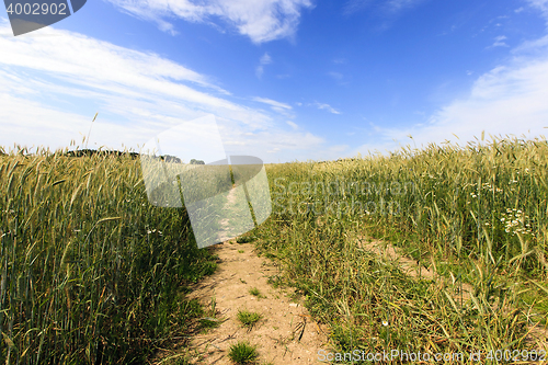 Image of no paved road