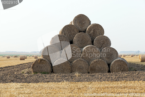 Image of stack of straw in the field