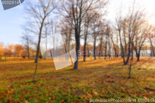 Image of autumn in the park