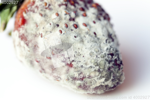 Image of Strawberry with mold