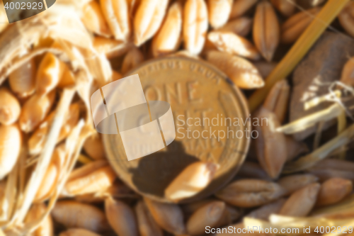 Image of coin in the straw