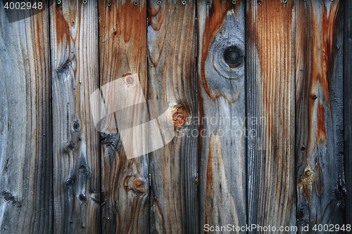 Image of abstract wooden texture