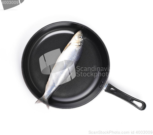 Image of fresh fish in pan