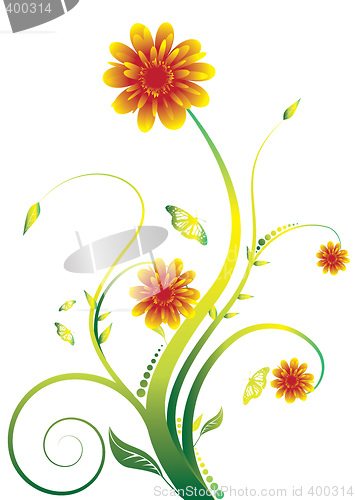 Image of floral petal