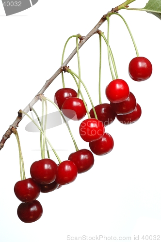 Image of Cherries