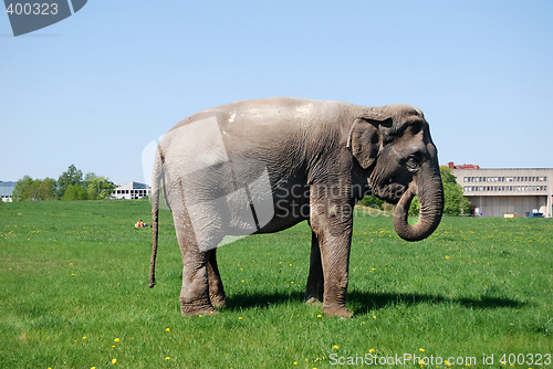 Image of Eating