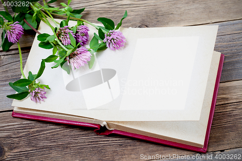 Image of photo album and clover flowers