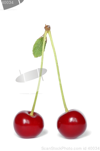 Image of Cherries
