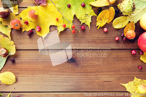 Image of frame of autumn leaves, fruits and berries on wood