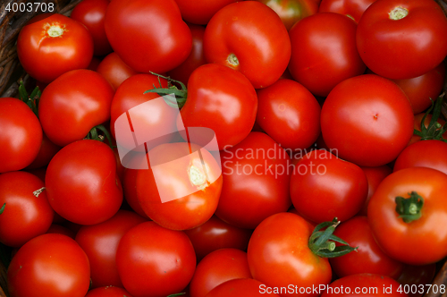 Image of fresh tomatoes background