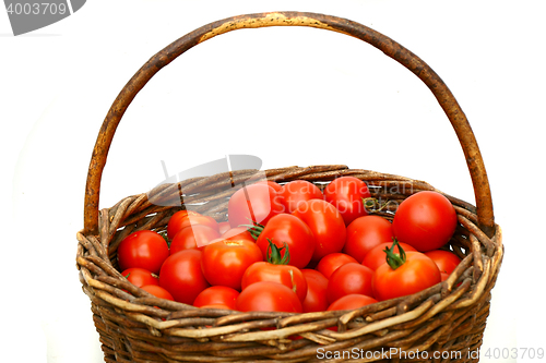 Image of fresh tomatoes in basket