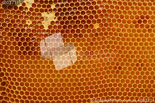 Image of honeycomb texture with honey