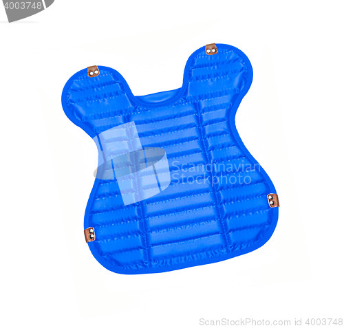 Image of Blue Shield
