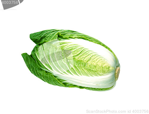 Image of cabbage
