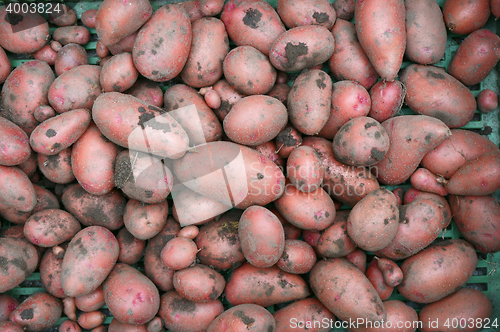 Image of red potatoes texture