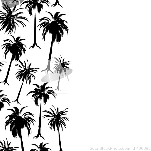 Image of palm border