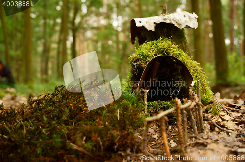 Image of house from moss