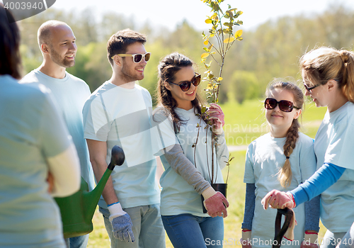 Image of group of volunteers with trees and rake in park