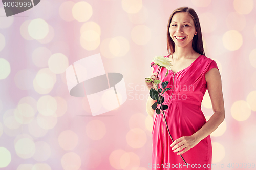 Image of happy pregnant woman with rose flower