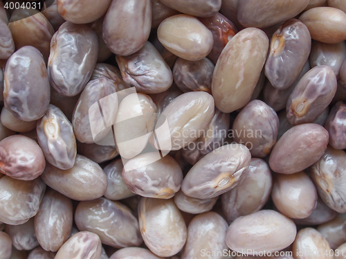 Image of Crimson beans legumes vegetables