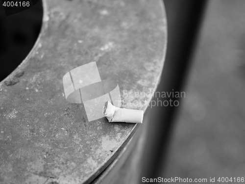 Image of Cigarette butt waste in black and white