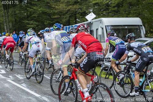 Image of The Peloton - Tour de France 2014