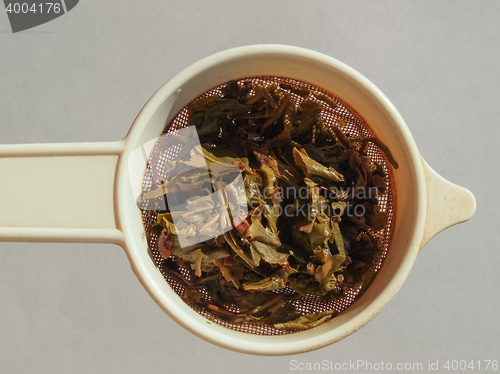 Image of Gunpowder green tea in London