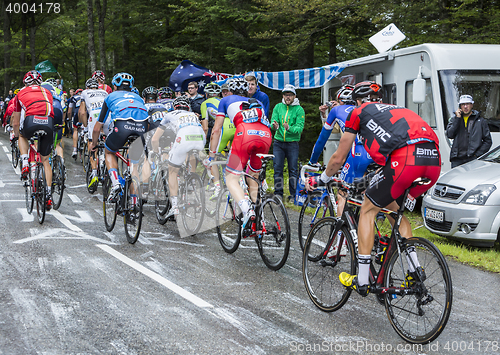 Image of The Peloton - Tour de France 2014