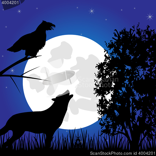 Image of Silhouettes animal in the night