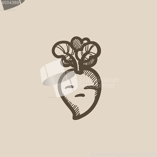 Image of Beet sketch icon.