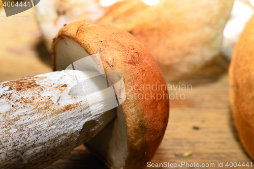 Image of  Wild mushroom on the table