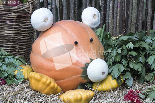 Image of Funny figure in the form of pigs made from pumpkins