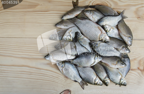 Image of Fish hooked in the river on a table surface.