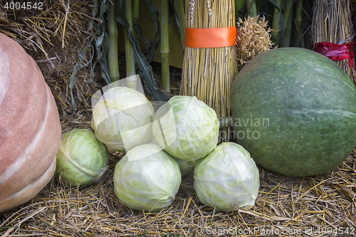 Image of Vegetable harvest is sold at the fair.