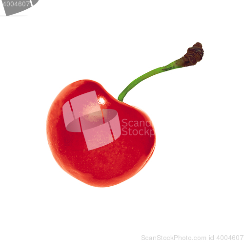 Image of cherry