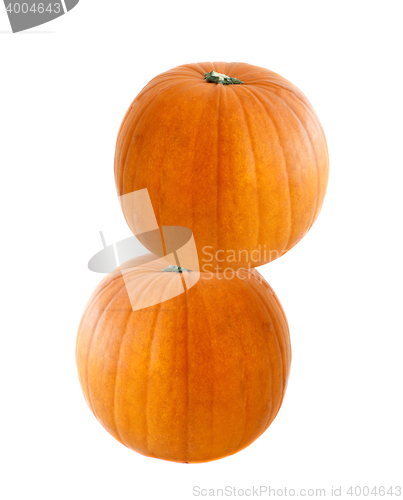 Image of two pumpkins isolated on white background