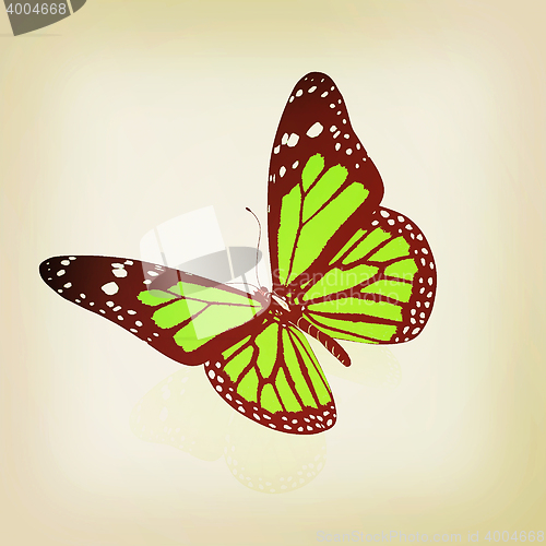 Image of Butterfly. 3D illustration. Vintage style.