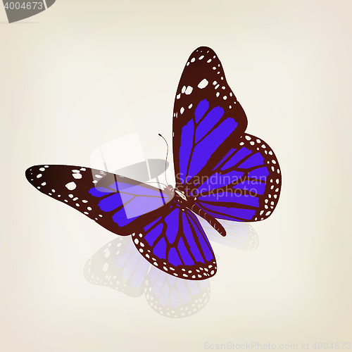 Image of Butterfly. 3D illustration. Vintage style.