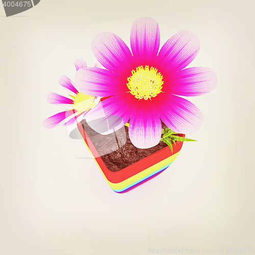 Image of beautiful flower in the colorful pot. 3D illustration. Vintage s