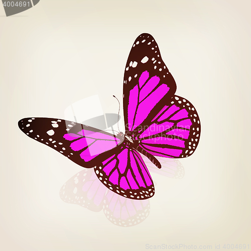 Image of Butterfly. 3D illustration. Vintage style.