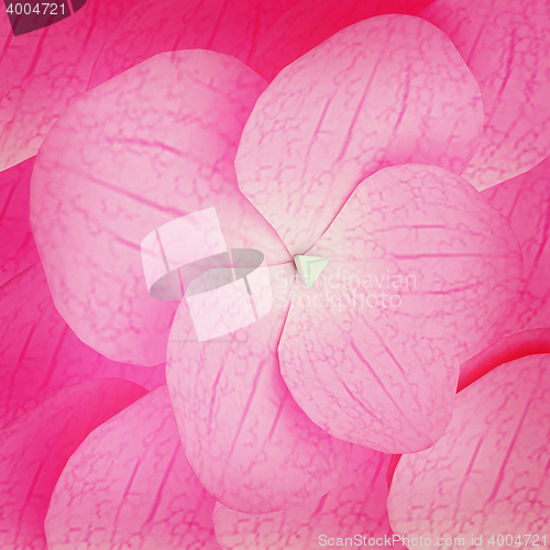 Image of Flowers petals pink background . 3D illustration. Vintage style.