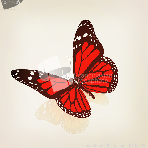 Image of Butterfly. 3D illustration. Vintage style.