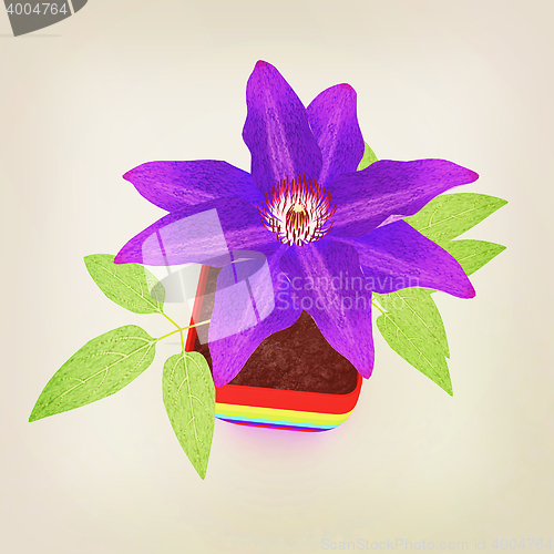 Image of Clematis a beautiful flower in the colorful pot. 3D illustration