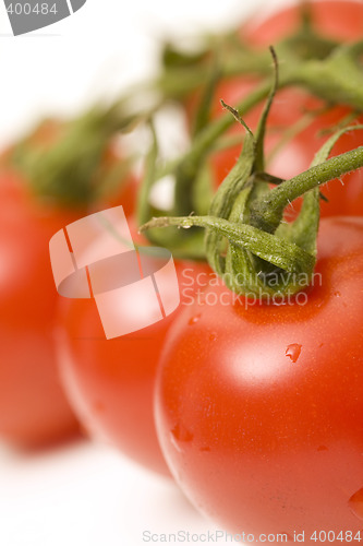 Image of tomatoes