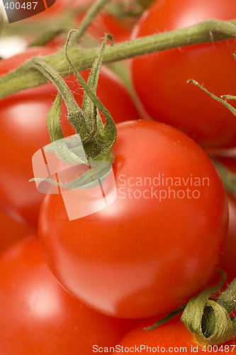 Image of tomatoes