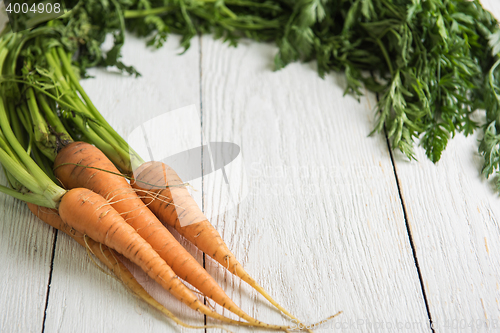 Image of Freshly grown carrots