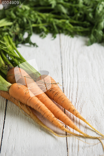 Image of Freshly grown carrots