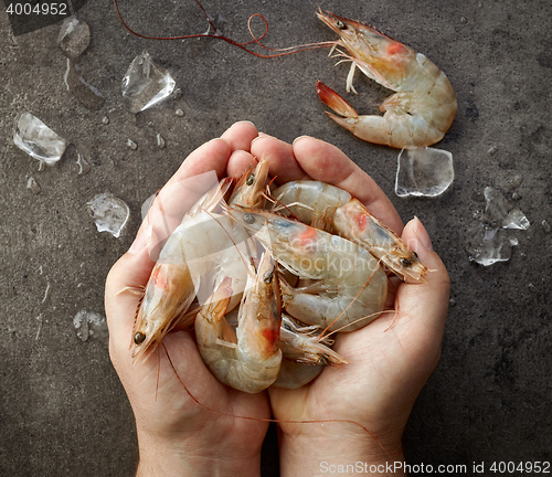 Image of fresh raw prawns