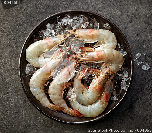 Image of fresh raw prawns and ice