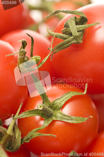 Image of tomatoes